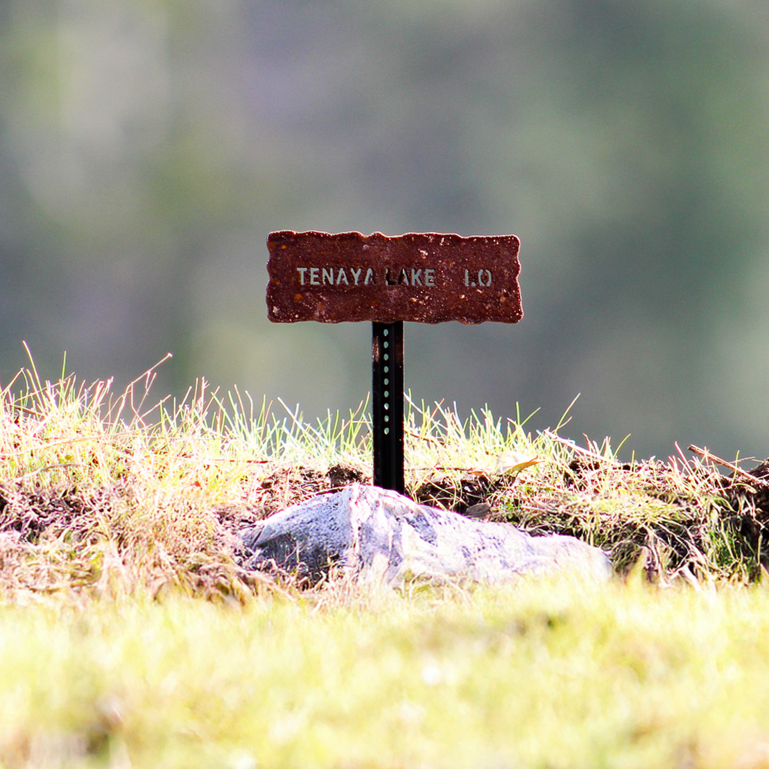 Yosemite Trail Sign: Tenaya Lake