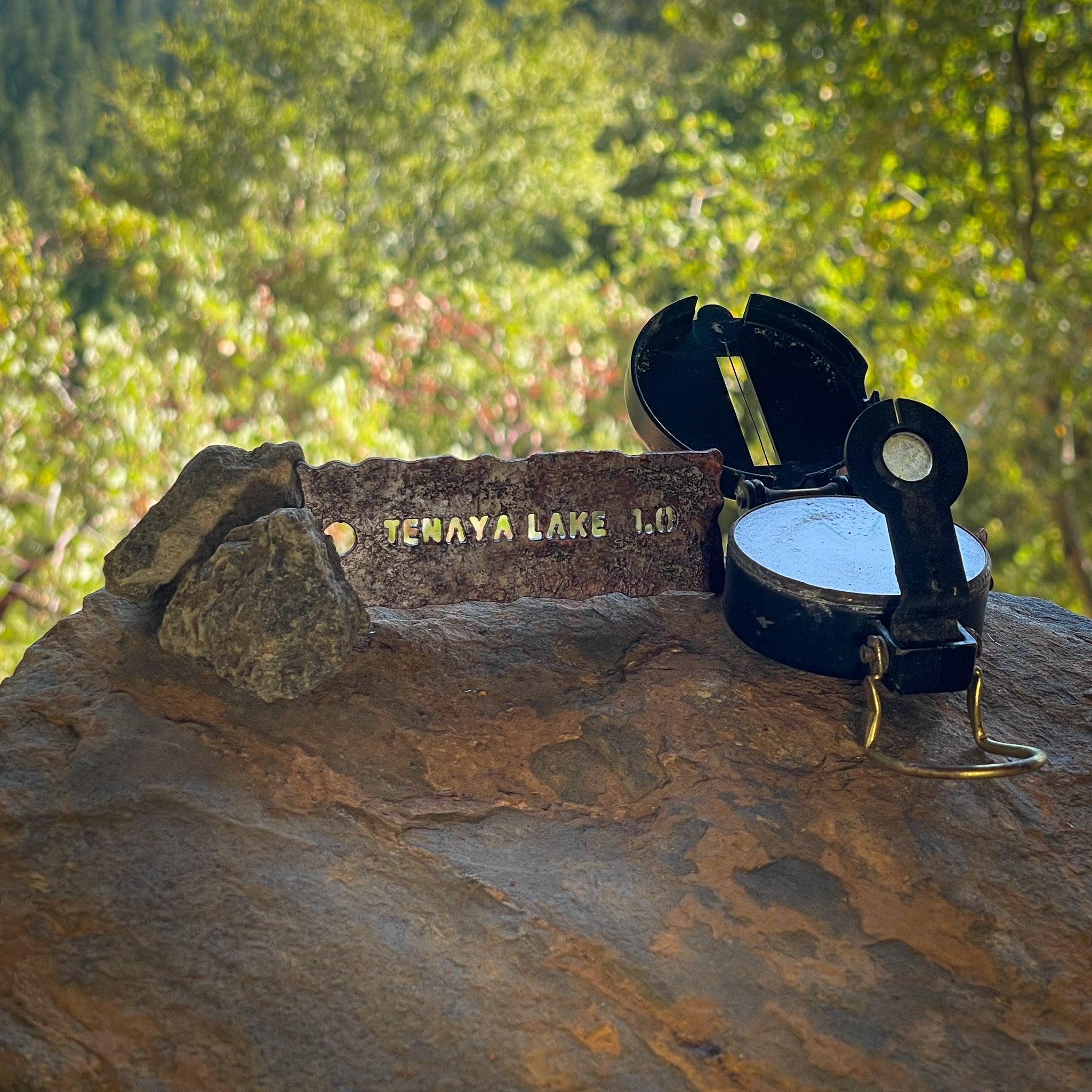 Yosemite Trail Sign (Tenaya Lake)