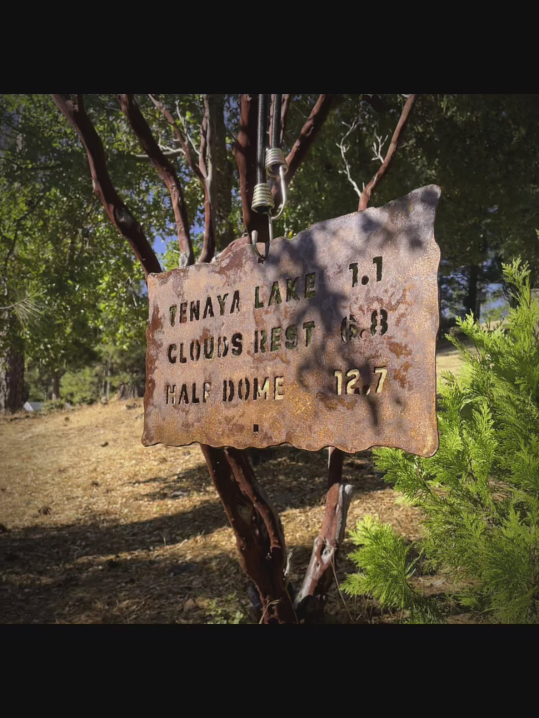 Customize Your Large Yosemite Trail Sign