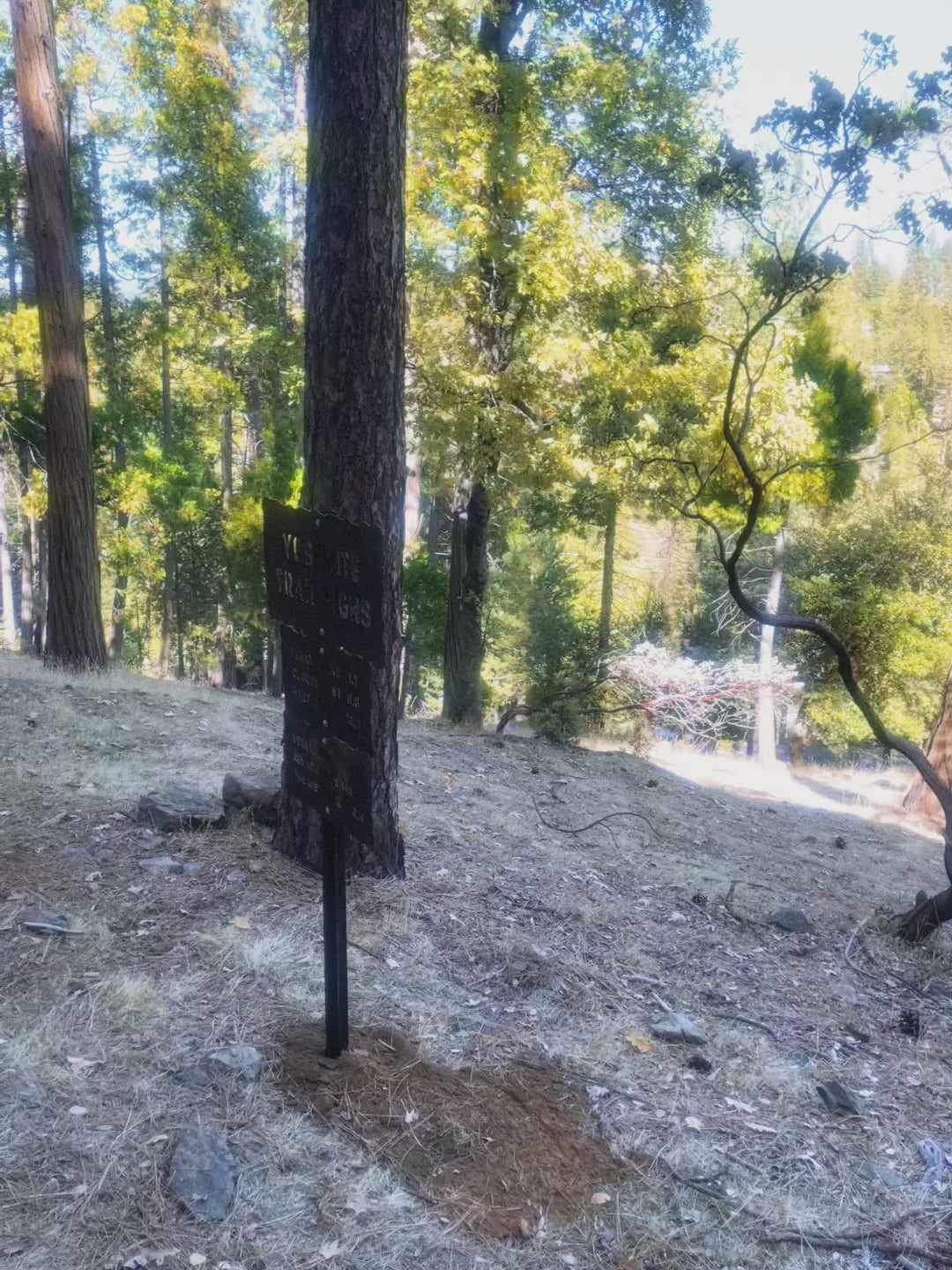 Customize Your Large Trail Sign